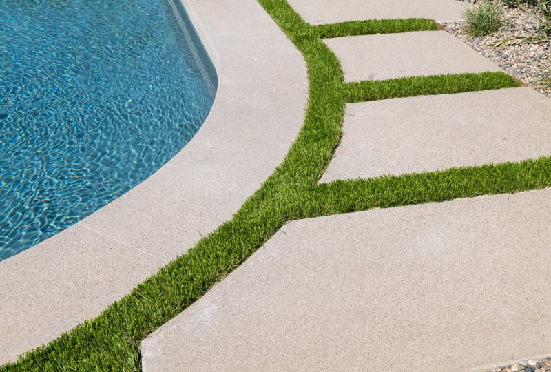 LA Backyard Makeover preview 6